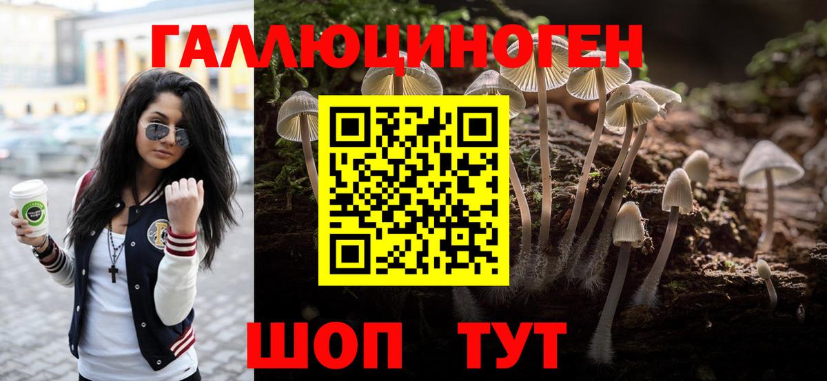 Псилоцибиновые грибы MAGIC MUSHROOMS Урус-Мартан